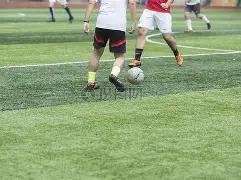 欧协联意外,克大学主裁,染红,半岛体育平台,半岛体育官方网站,半岛体育登录入口,半岛体育app下载