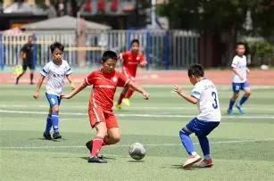 苏炳添告别,赛场,米接力广东,半岛体育平台,半岛体育官方网站,半岛体育登录入口,半岛体育app下载