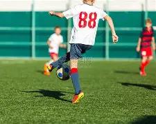 重金属的种,类及其对人,体健康的危,半岛体育平台,半岛体育官方网站,半岛体育登录入口,半岛体育app下载