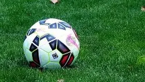 成都大运会31届官方口号、会徽及吉祥物同台亮相