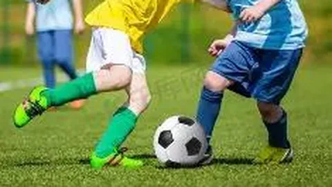 半岛体育 资讯 104611 im8