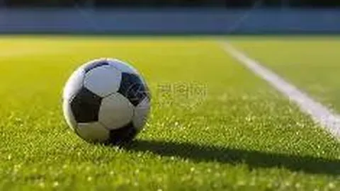 半岛体育 产品 104431 1be