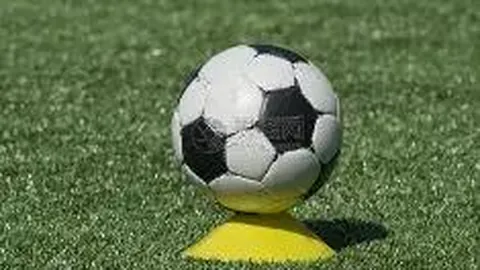 半岛体育 产品 104623 nar