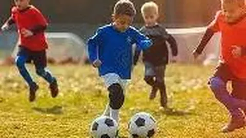 半岛体育 资讯 093750 qt5